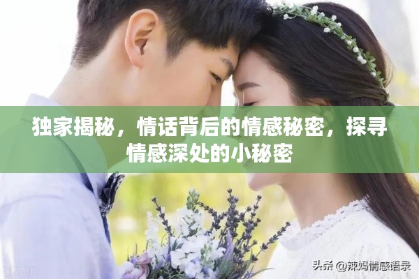 独家揭秘,情话背后的情感秘密,探寻情感深处的小秘密
