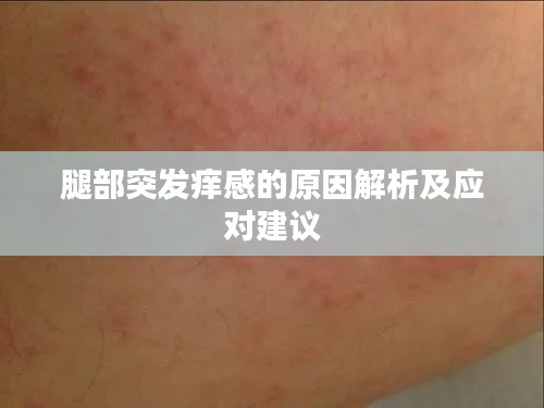 腿部突发痒感的原因解析及应对建议