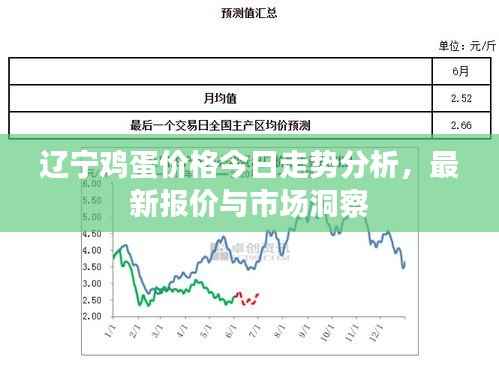辽宁鸡蛋价格今日走势分析,最新报价与市场洞察