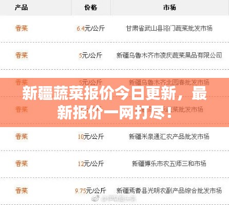 新疆蔬菜报价今日更新,最新报价一网打尽!