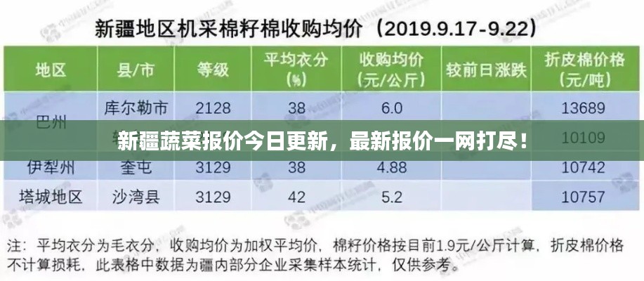 新疆蔬菜报价今日更新,最新报价一网打尽!