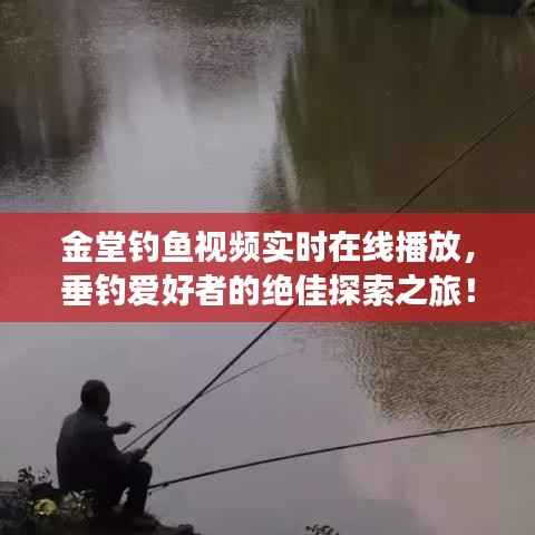 金堂钓鱼视频实时在线播放，垂钓爱好者的绝佳探索之旅！
