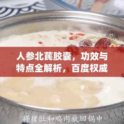 人参北芪胶囊,功效与特点全解析,百度权威收录