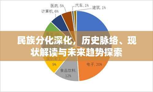 民族分化深化,历史脉络、现状解读与未来趋势探索