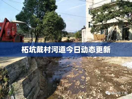 柘坑戴村河道今日动态更新