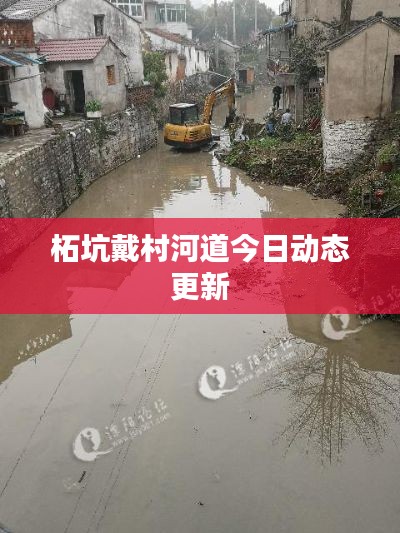柘坑戴村河道今日动态更新